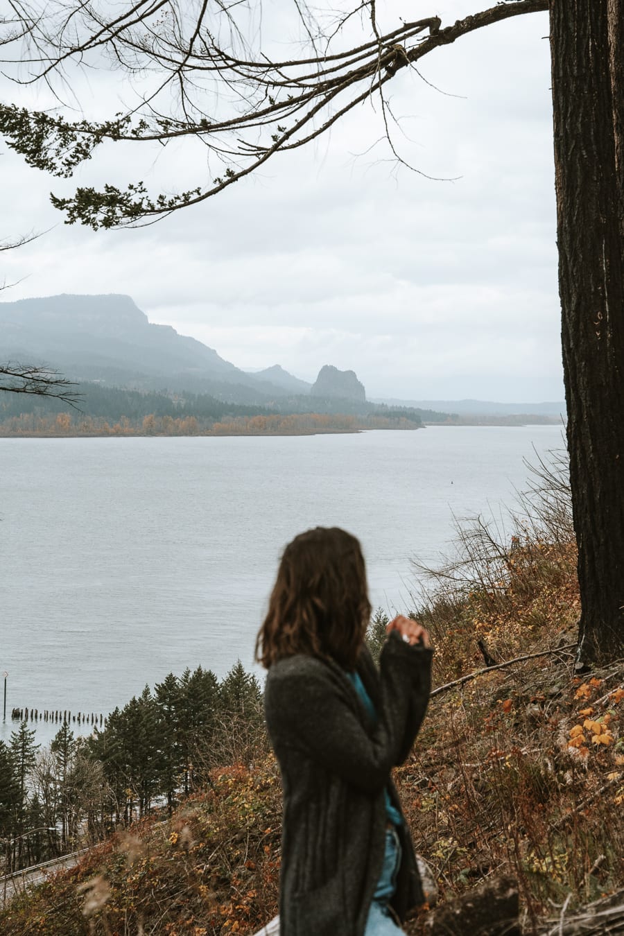 Multnomah Falls Trail